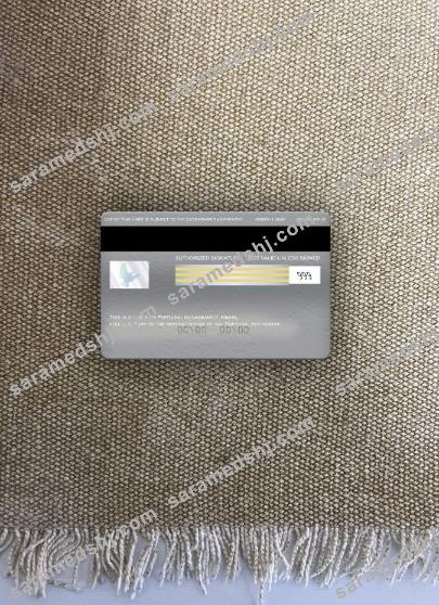 Portugal Activobank visa electron card photolook back